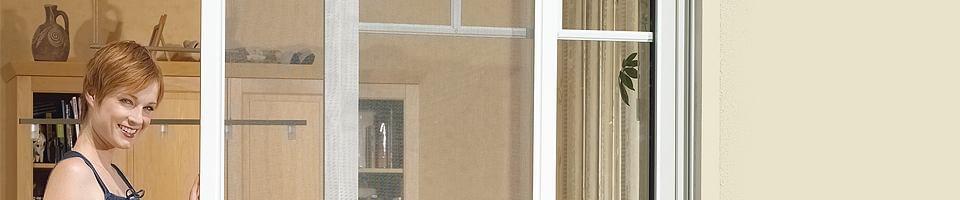 Flyscreen